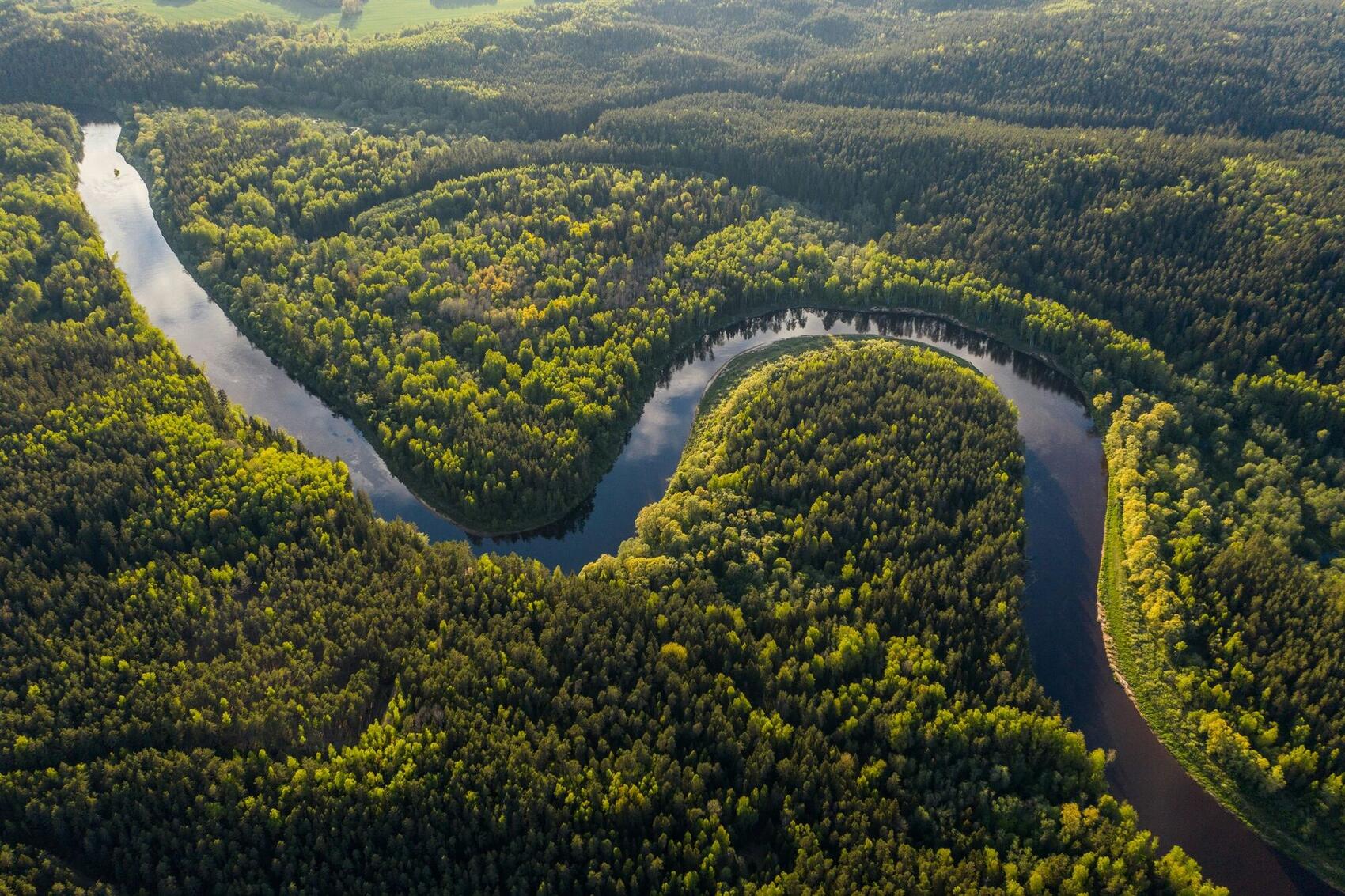 The Amazon Nobody Shows You