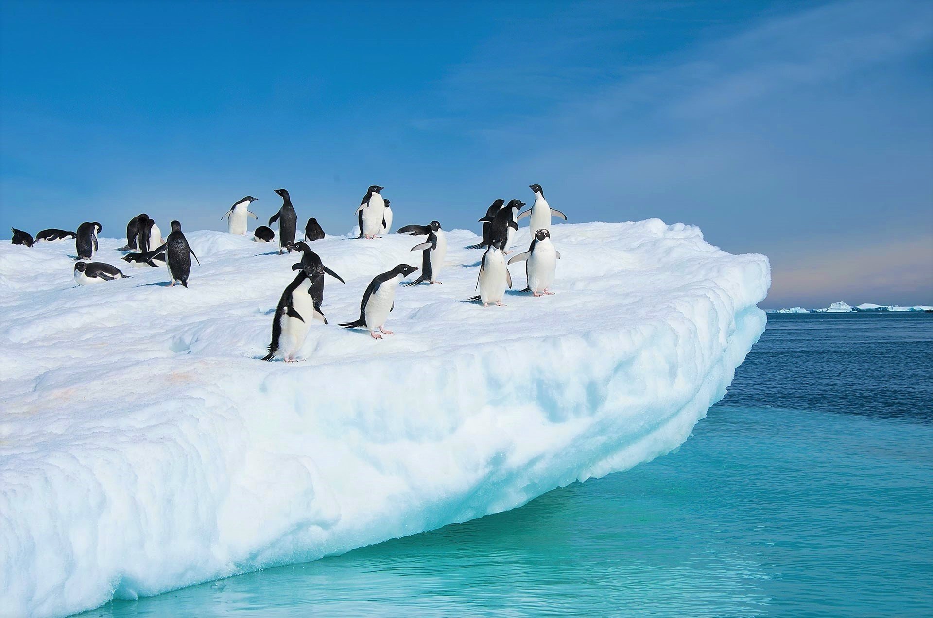 Antarctica in a day